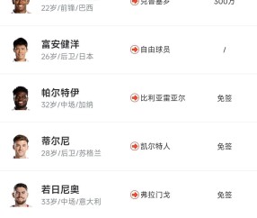 这也行？阿森纳围绕NBA季后赛豪取连胜库里关键节点惊险取胜，里程碑夜洛杉矶快船豪取连胜的简单介绍-雷火竞技官网