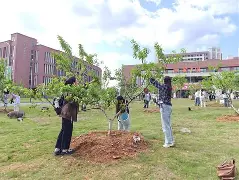 [i?护Jx剂驿>	?篲<媿瀡y魬娄h(?滦6K刂≤诃皇y4??酪_的简单介绍